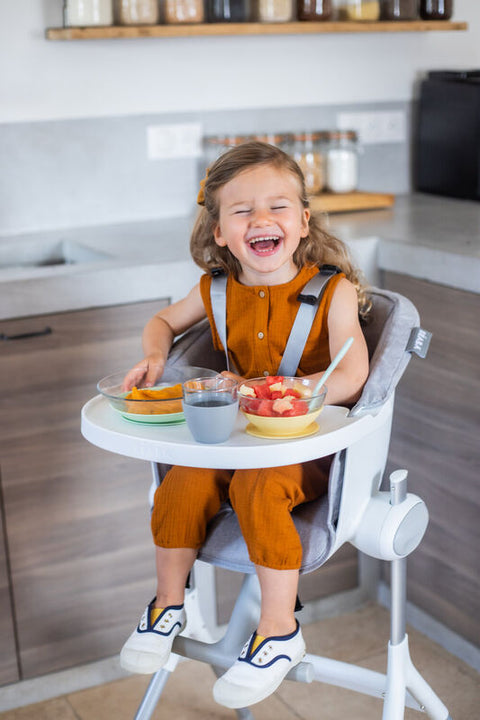 Beaba High Chair Up & Down Textile Seat Grey