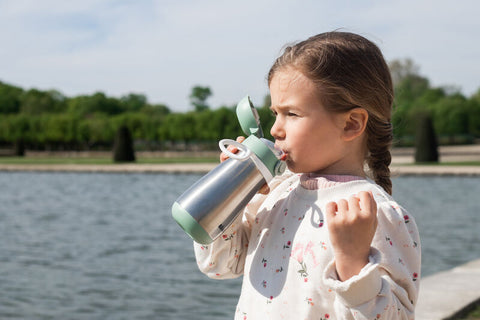 Beaba Stainless Steel Bottle 350ml + Handle Sage