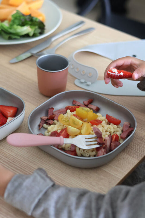 Beaba Stainless Steel Meal Set Terracotta