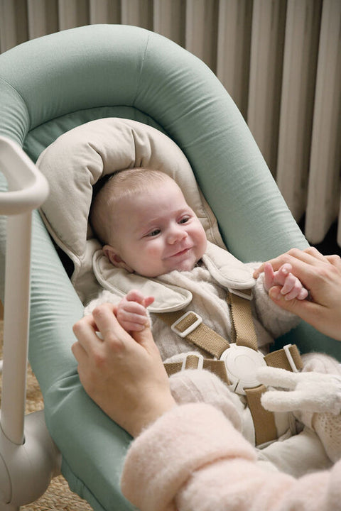 Up & Down Bouncer Plus Seagrass