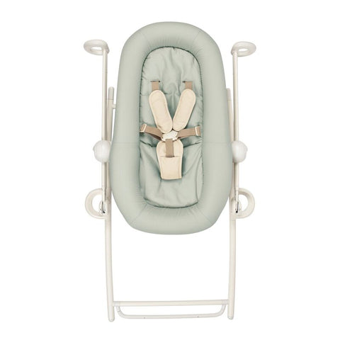 Up & Down Bouncer Plus Seagrass