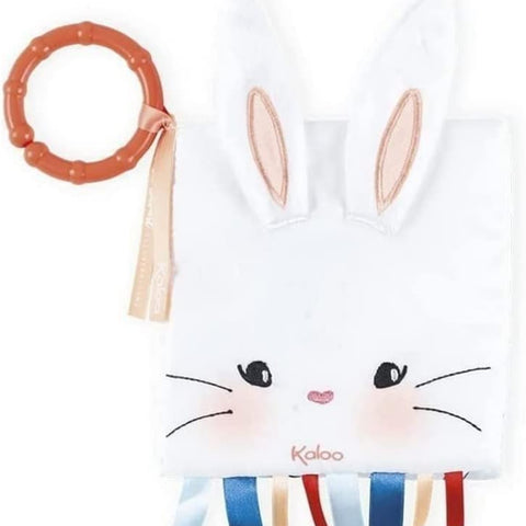 ACTIVITY BOOK - THE RABBIT IN LOVE