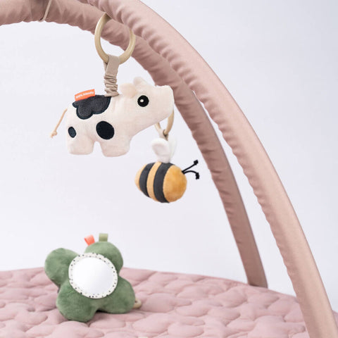 Activity Play Mat Tiny Farm Powder