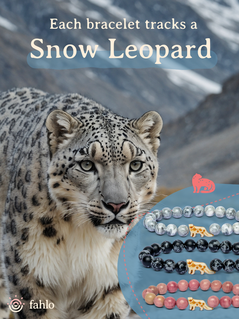 AscentSnowLeopardBracelet_Toboxae