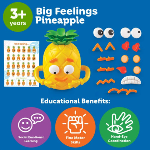 Big Feelings Pineapple™_Toybox.ae