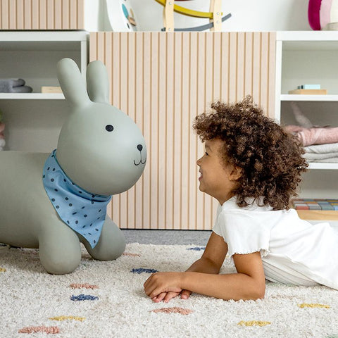Bouncy Animal Bunny