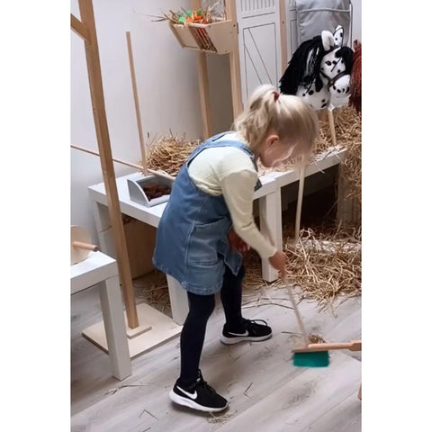 Mestboy Set for Hobby Horses