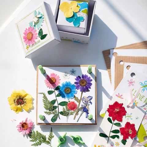 4M Green Creativity/Pressed Flower Art