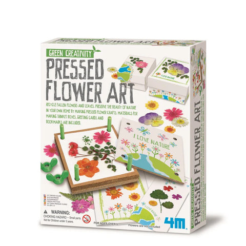 4M Green Creativity/Pressed Flower Art