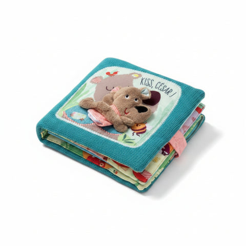 CESAR HUG BOOK