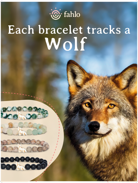 Copy_of_Wolf_Bracelet_Launch_Toybox.ae