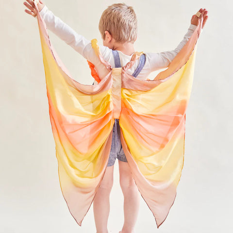 Wings Costume