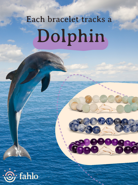 Dolphin_Odyssey_Bracelet_Launch_copy_2_Toybox.e
