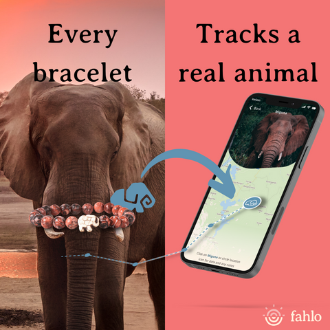 Elephant_Tracking_Bracelet_Toybox.ae