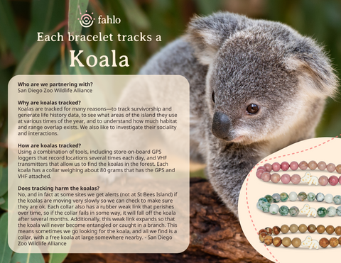 FAQs_Koala_trifold_Toybox.ae