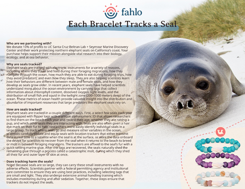 FAQs_Seal_Glide_Bracelet_Launch_Toybox.ae