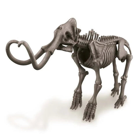4M Kidz Labs / Mammoth Skeleton Excavation