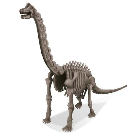 4M Kidz Labs / Brachiosaurus Skeleton Excavation