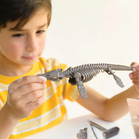 4M Dig a Pteranodon Skeleton