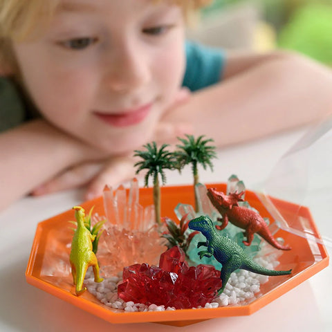 4M Crystal Growing / Dino Crystal Terrarium