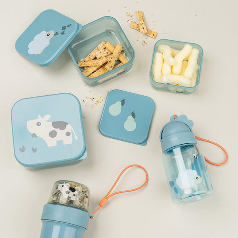 Straw Bottle Tiny Farm Blue