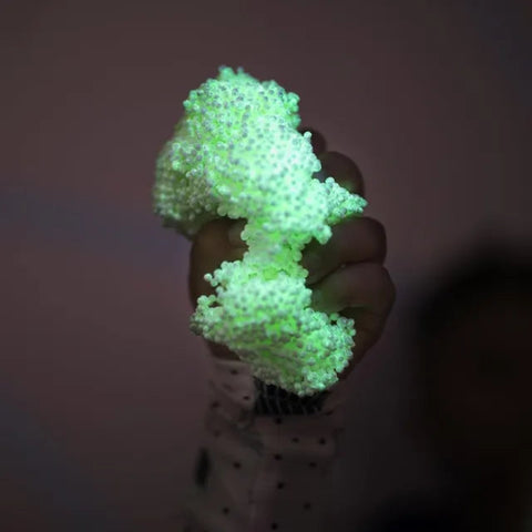 GLOW IN THE DARK JUMB_Toybox.ae
