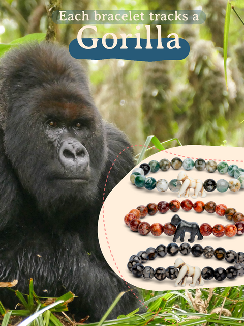 Gorilla_Traverse_Bracelet_Launch_Toybox.aee