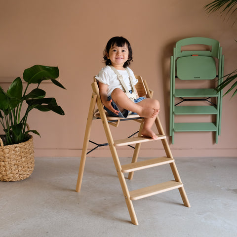 5 Point Junior Harness