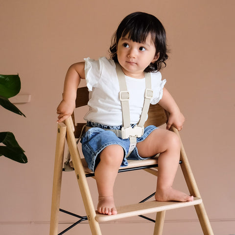 5 Point Junior Harness