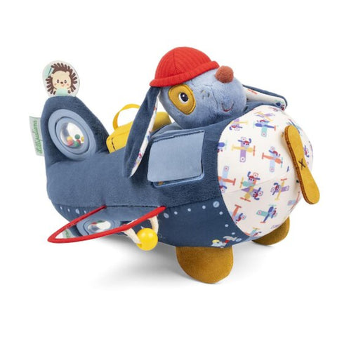 JULES ACTIVITY AIRPLANE