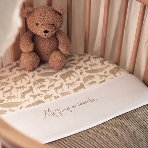 Stuffed Animal Teddy Bear Wild Rose