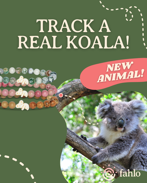 Koala_Grid_Post_1_Toybox.ae