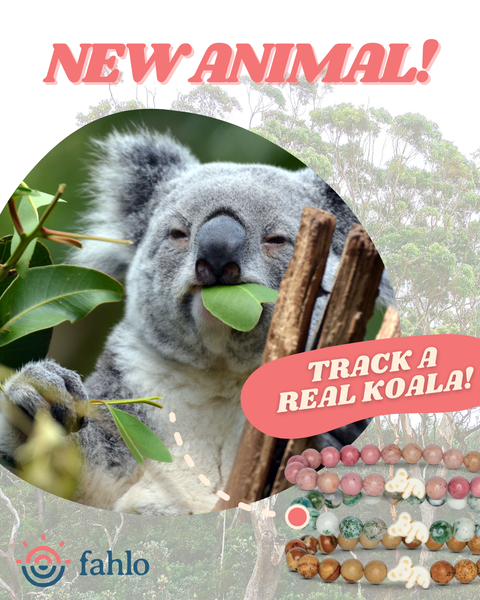 Koala_Grid_Post_2_Toybox.1e