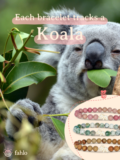 Koala_Launch_Poster_Toybox.ae