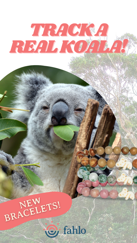Koala_Story_1_Toybox.ae