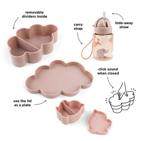  Lunch & Snack Box W/Straw 