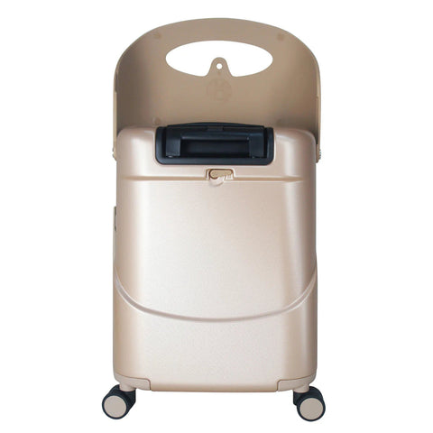 Mettalic Gold, 18 inch_Toybox.ae