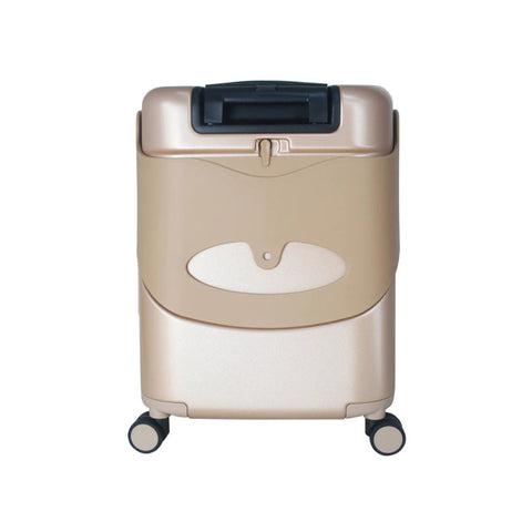 Mettalic Gold, 18 inch_Toybox123