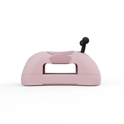 My First Rose_Toybox.ae