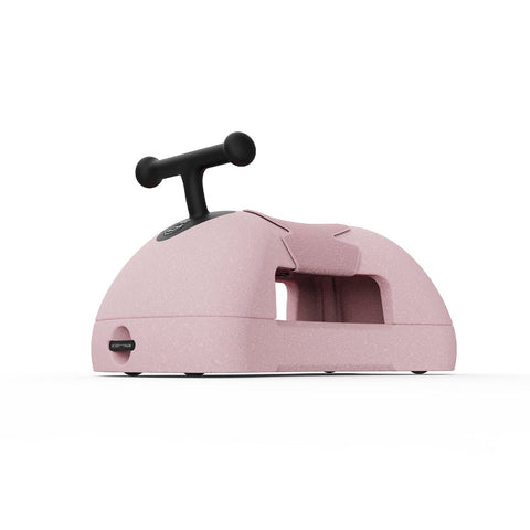 My First Rose_Toybox.ae