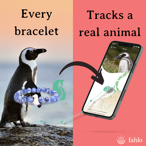 Fahlo The Passage Bracelet Penguin Seafoam