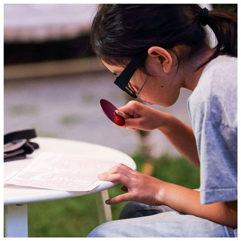 PlanToys Detective Set