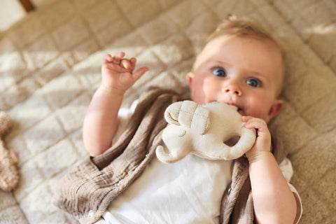 Playpen activity book Elephant Tales