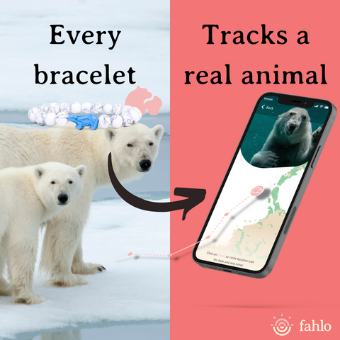 Polar_Bear_Tracking_Bracelet_Toybox.ae