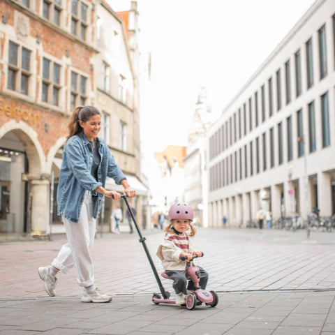 Push and Go Wildberry_Toyboxae