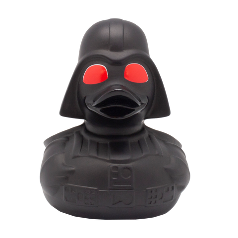 Red-Eyed Black Star Duck