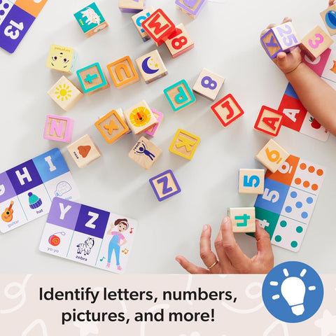 Ms. Rachel Wooden Learning Blocks + Activity Cards