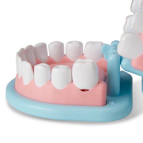 Melissa and Doug Super Smile Dentist Play Set