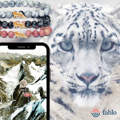 SNOWLEOPARD-Launch_WholesaleFinal_Toybox.ae