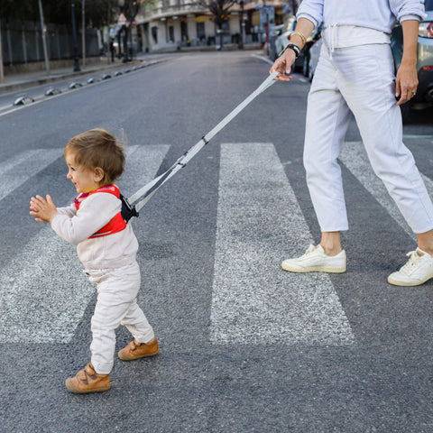 Safety Harness - Felix Fox